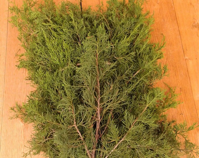 Fresh Juniper Stems, 2 or 4 Pounds, With FREE US Shipping