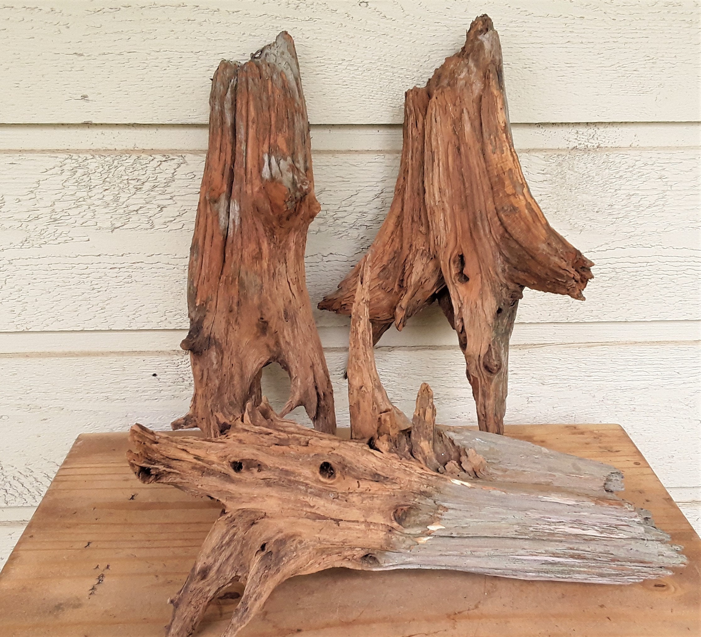 Three Weathered Cedar Stumps, Nice Rustic Appearance, FREE US Shipping