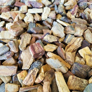 Petrified Wood, Smaller Pieces, 1 to 5 Pounds - Free US Shipping