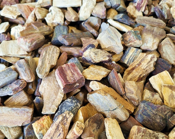 Petrified Wood, Smaller Pieces, 1 to 5 Pounds - Free US Shipping