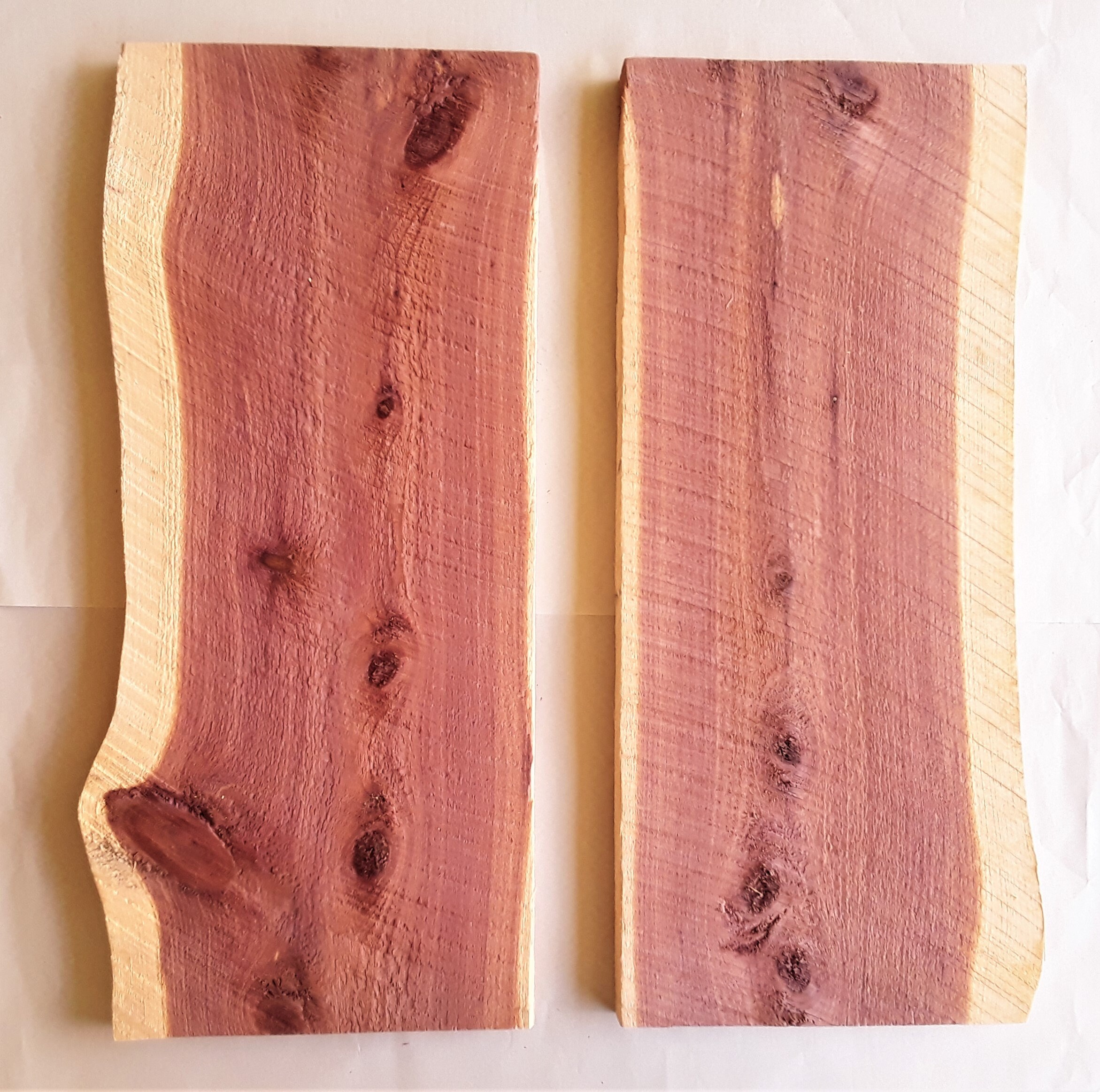 Two Live Edge Red Cedar Planks 2 Feet Long FREE US Shipping