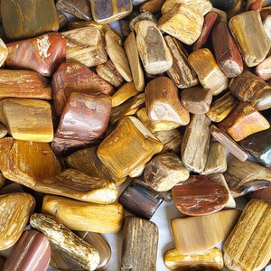 Tumbled Petrified Wood, 3 Sizes To Choose From - US Shipping Included