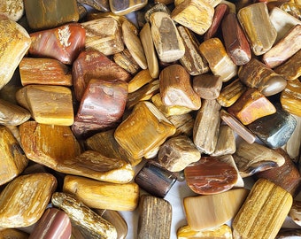Tumbled Petrified Wood, 3 Sizes To Choose From - US Shipping Included