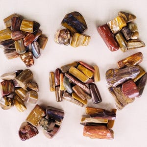 Polished Petrified Wood, 10 Ounce Sets - US Shipping Included