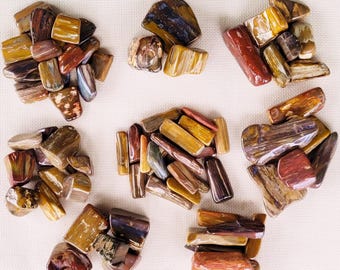 Polished Petrified Wood, 10 Ounce Sets - US Shipping Included