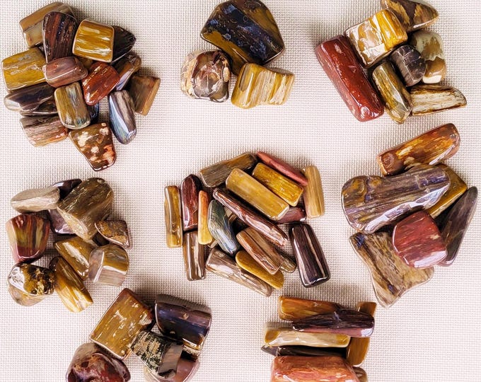 Polished Petrified Wood, 10 Ounce Sets - US Shipping Included