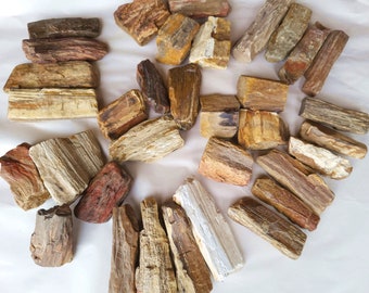 Petrified Wood, Eight Sets To Choose From - Free Priority Shipping