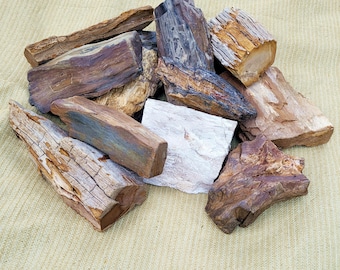 CLEARANCE - Larger Petrified Wood Pieces, 24 To Choose From - Free US Shipping