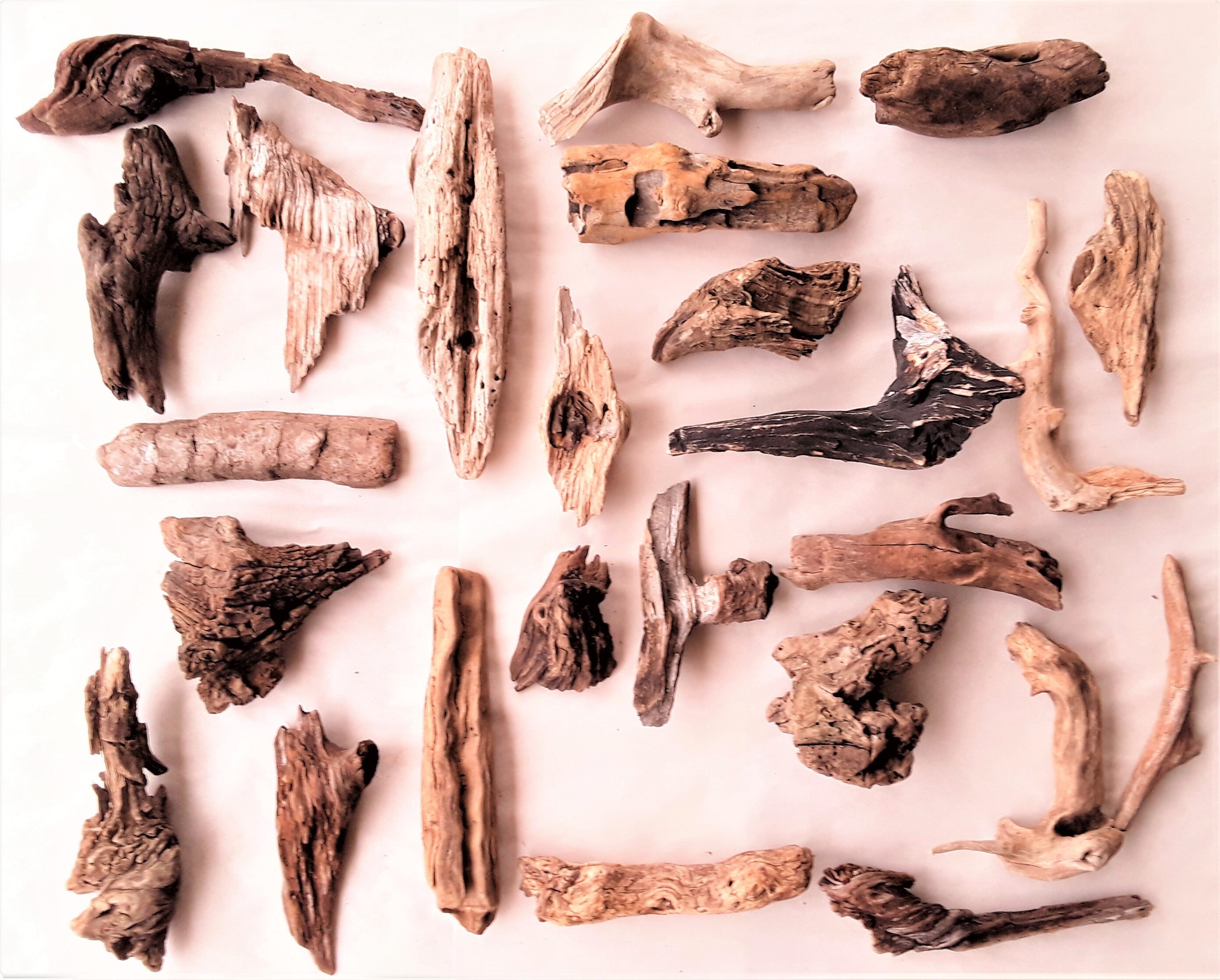 25 Driftwood Pieces, Large Lot With Great Variety, FREE Priority US