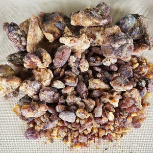 Pine Resin Variety, Over 14 Ounces - Free US Shipping