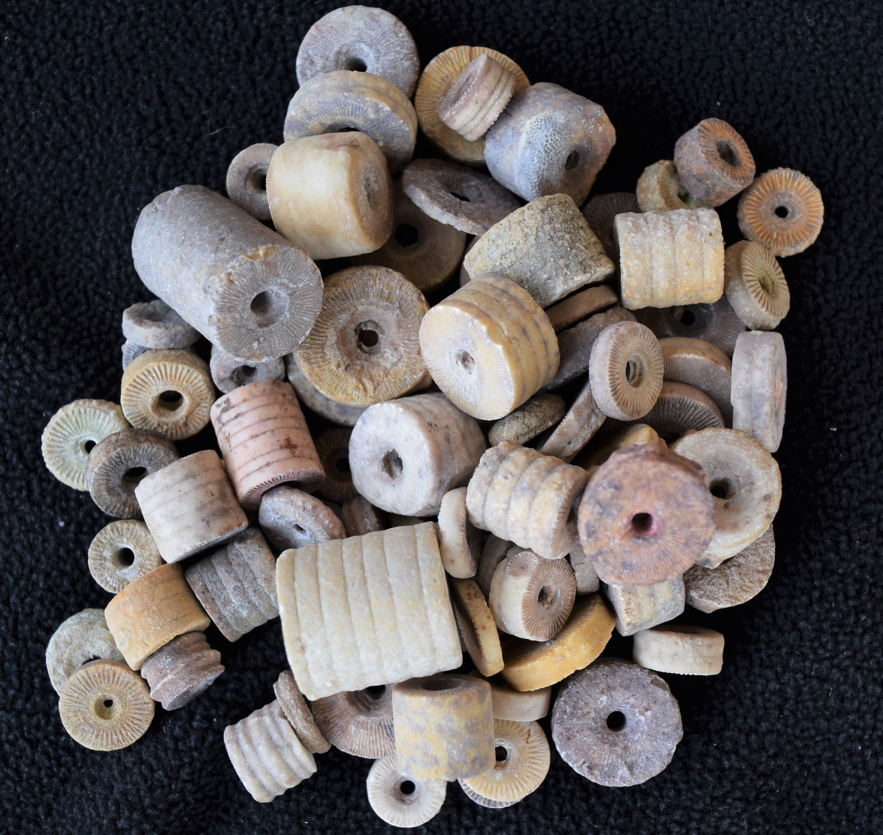 Crinoid Stem Fossil Beads, Natural and Colorful, FREE US SHIPPING