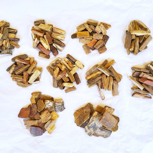 Petrified Wood Sets, Smaller Pieces - Free US Shipping