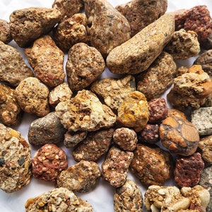 Conglomerate Rocks, Puddingstone, Five Different Sets To Choose From