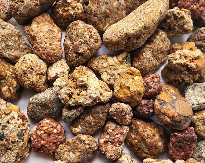 Conglomerate Rocks, Puddingstone, Five Different Sets To Choose From