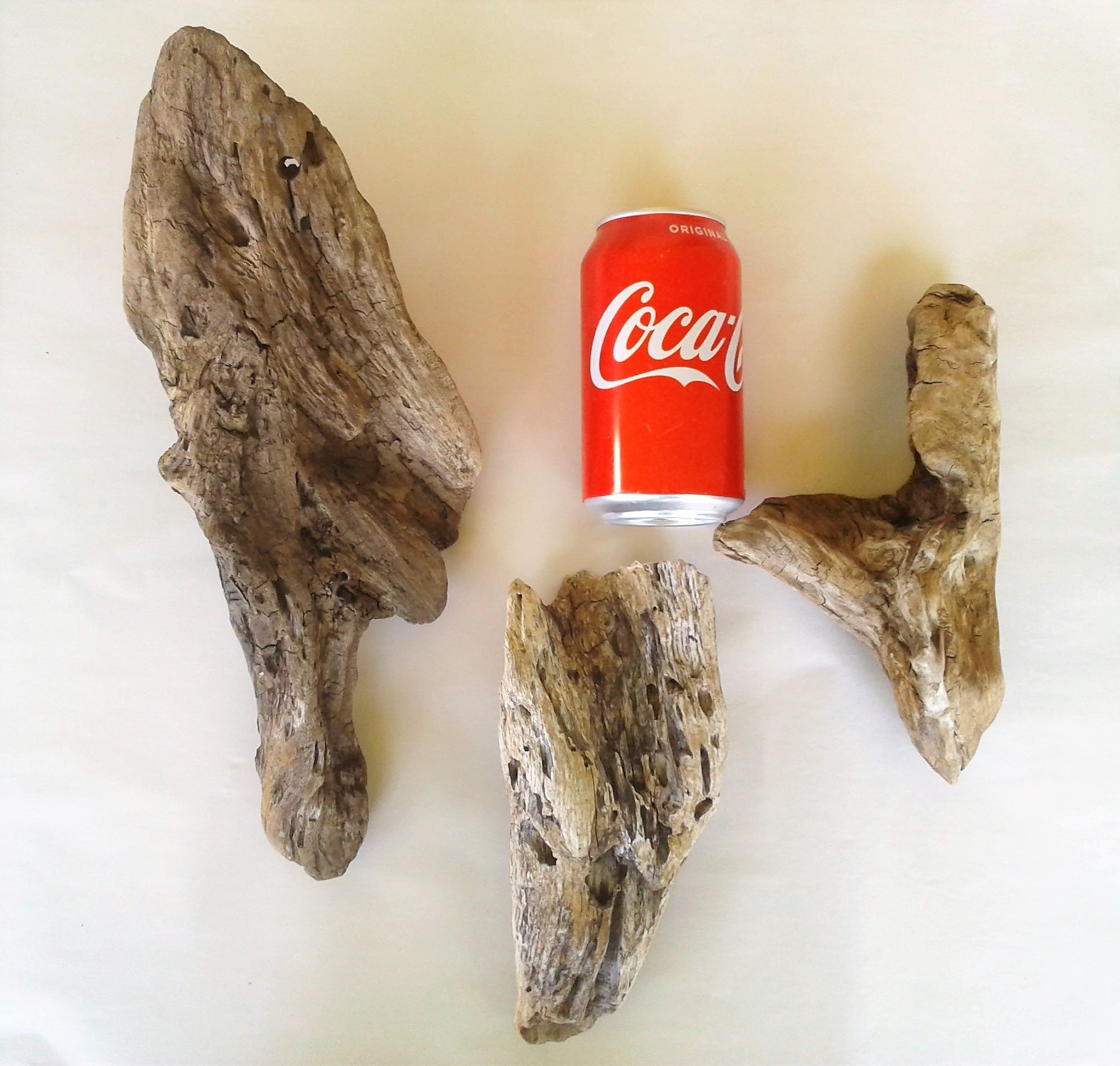 10 Medium Driftwood Pieces, Great for Use With Plants