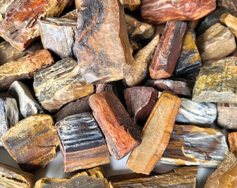 Petrified Wood Tumbling Rough: 30 Pounds Craft & Decor Pieces
