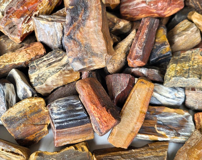 Petrified Wood Tumbling Rough: 30 Pounds Craft & Decor Pieces
