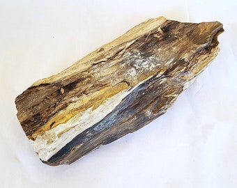 Petrified Wood, Great Detail, Over 8 Pounds - Free US Shipping