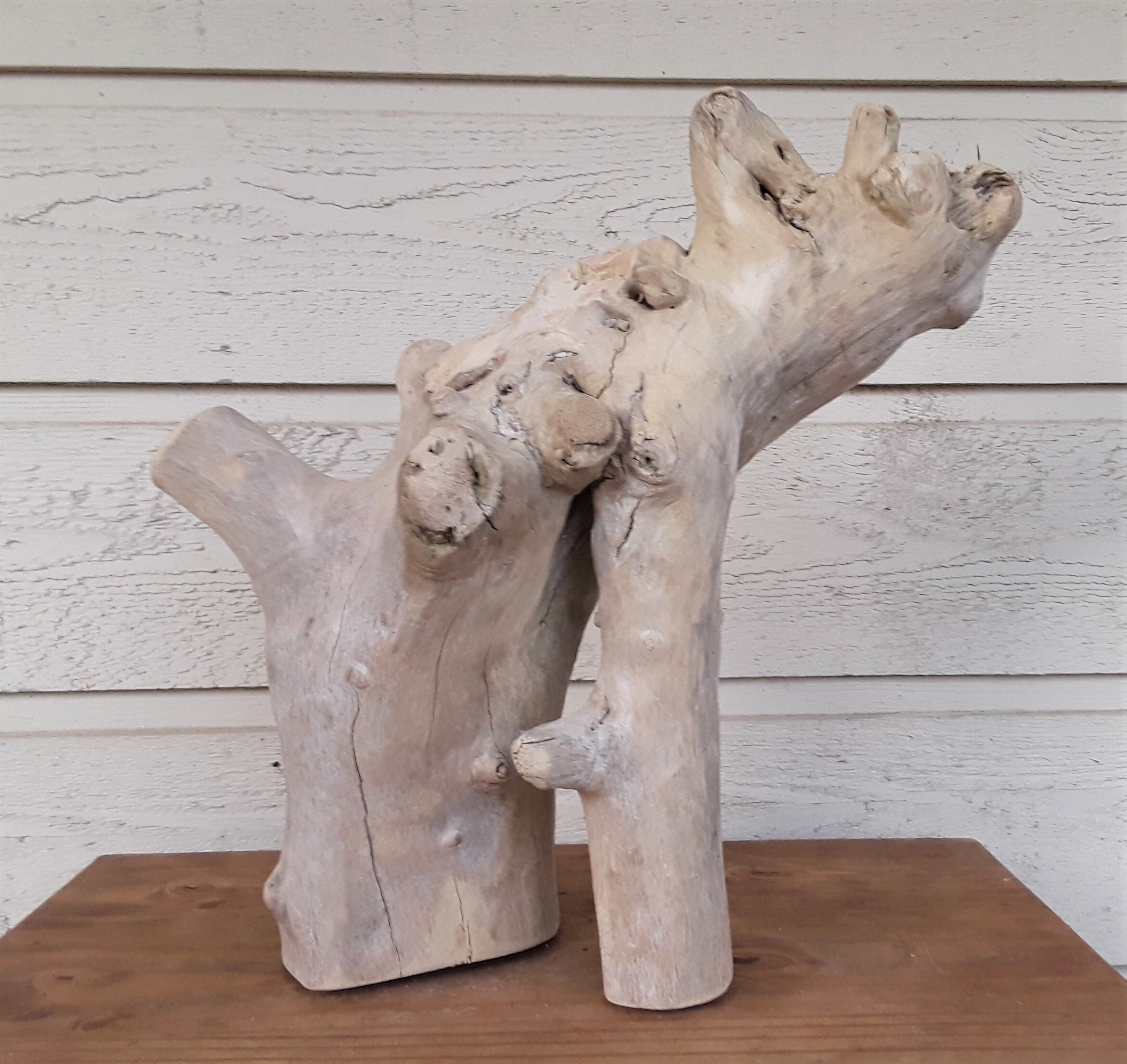 Natural Driftwood Sculpture FREE US Shipping