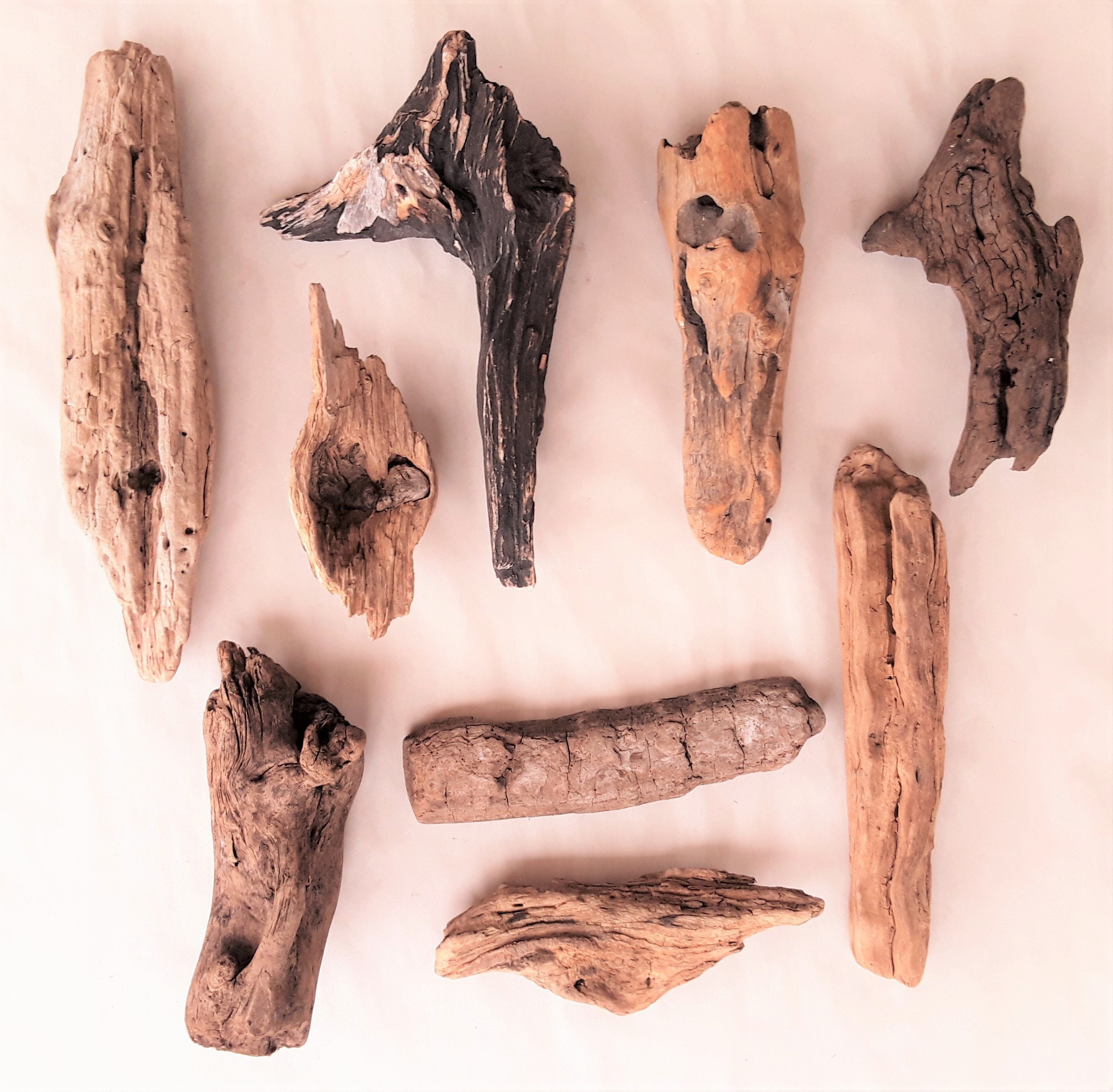 25 Driftwood Pieces, Large Lot With Great Variety, FREE Priority US