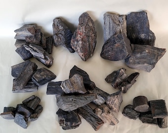 Black Petrified Wood, Eight Sets To Choose From, Unusual Texas Fossils - US Shipping Included
