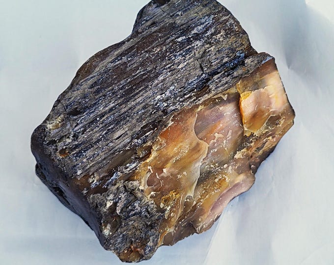 Large Agatized Petrified Wood, Fully Crystalized - US Shipping Included