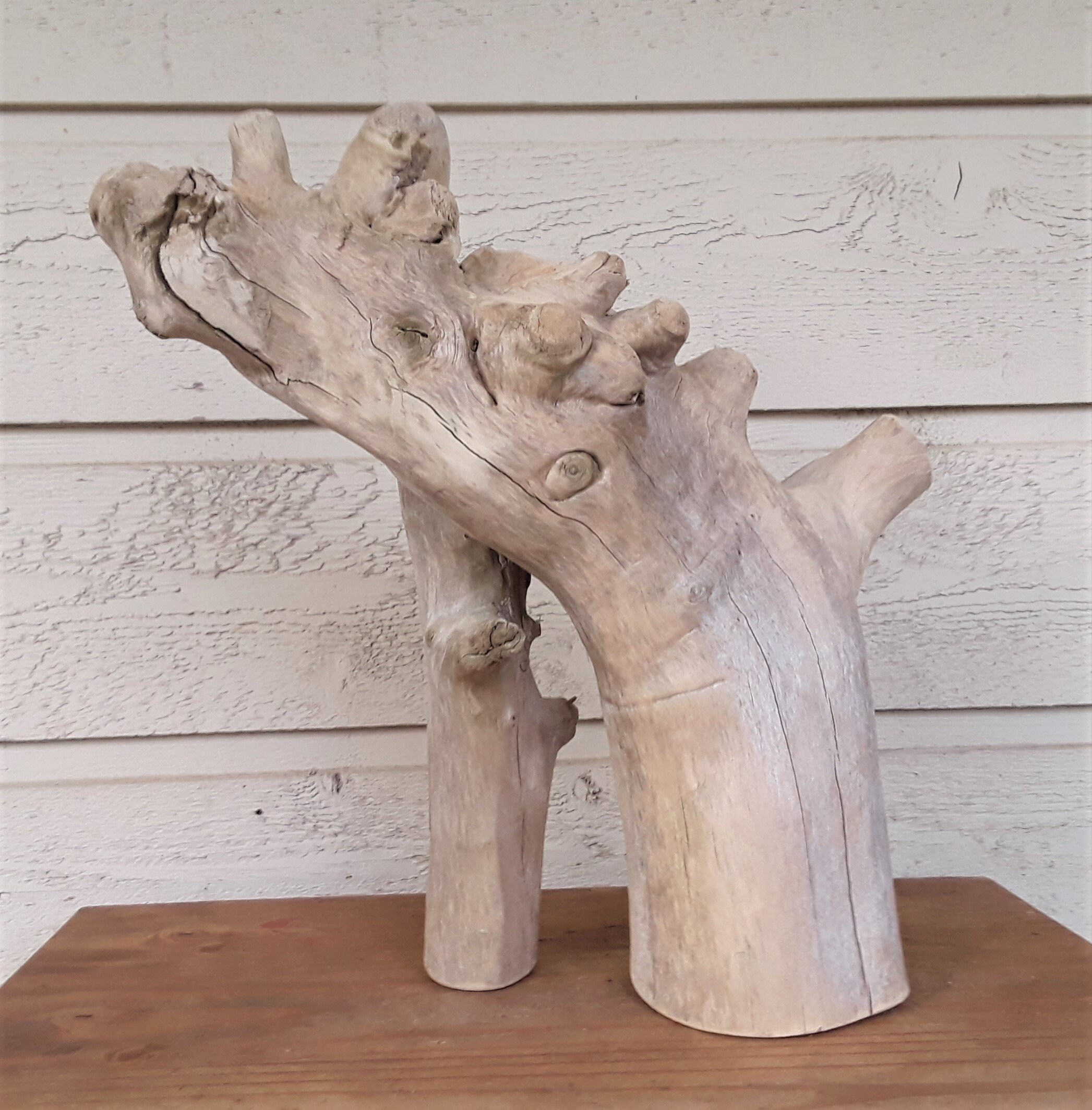 Natural Driftwood Sculpture FREE US Shipping