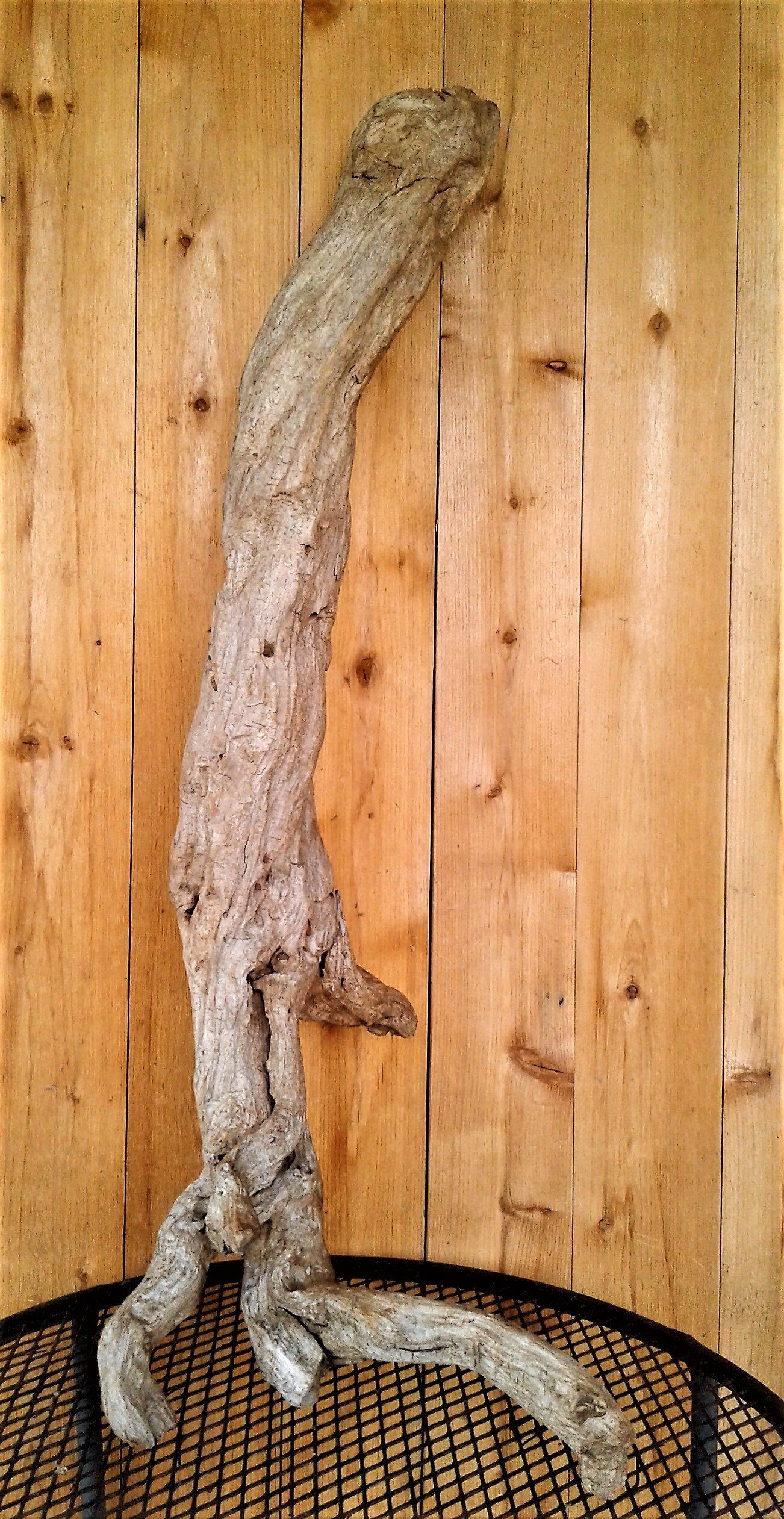 Large Driftwood Sculpture, Planter or Animal Habitat, Over 3 Feet Long