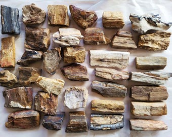 Petrified Wood Bulk, 35 Pieces, Over 28 Pounds - Free US Priority Shipping