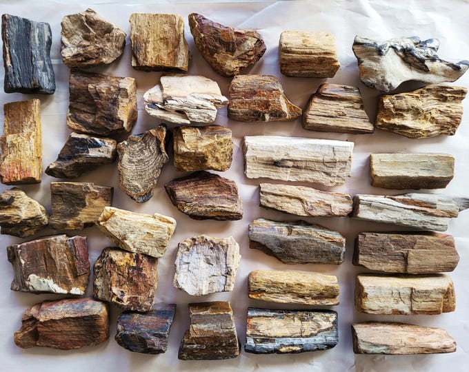 Petrified Wood Bulk, 35 Pieces, Over 28 Pounds - Free US Priority Shipping
