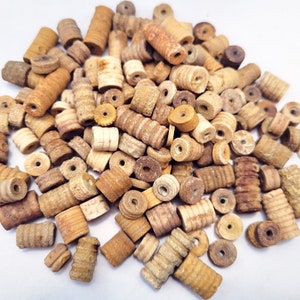 Crinoid Fossil Beads, Natural and Colorful, Eight Sizes - FREE US SHIPPING