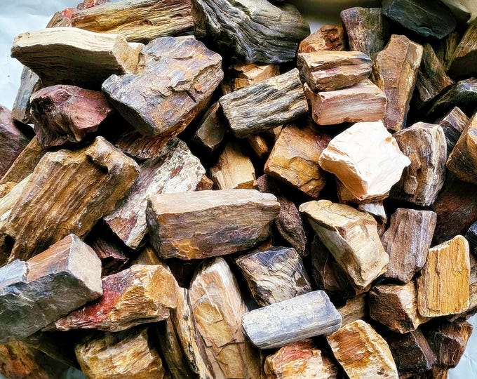 Petrified Wood Bulk, Two Large Sets Available - Free US Priority Shipping