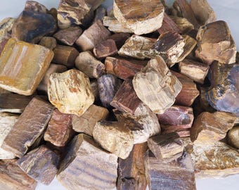 Petrified Wood Rough, Three Sizes, Perfect For Tumbling or Crafting - Free US Shipping