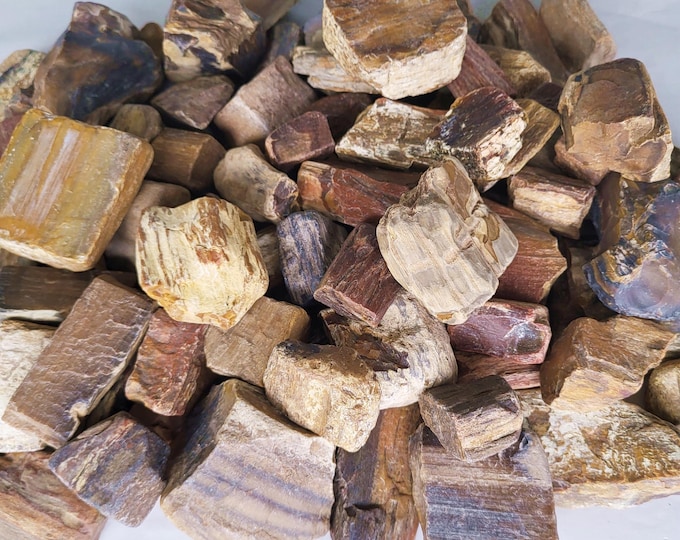 Petrified Wood Rough, Three Sizes, Perfect For Tumbling or Crafting - Free US Shipping