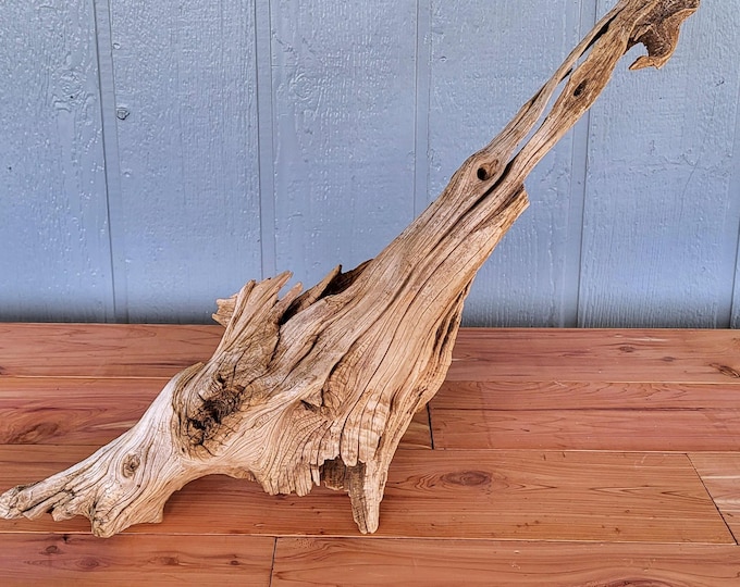 Cedar Tree Section, Rustic Decorative Item Or Project Piece