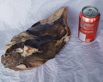 Petrified Wood, Large Piece With Rich Colors, Over 10 Pounds - Free US Shipping