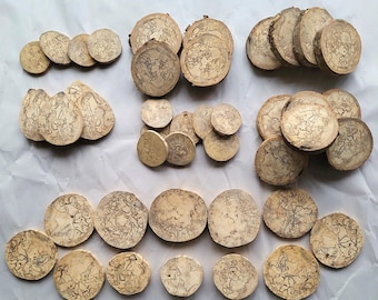 Spalted Wood Slice Sets, Seven To Choose From - Free US Shipping