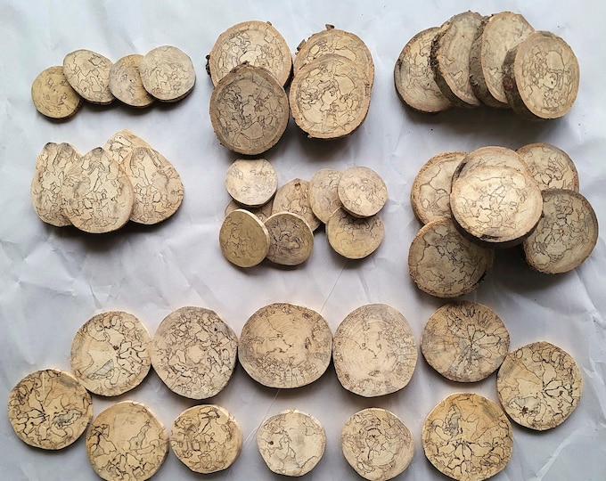 Spalted Wood Slice Sets, Seven To Choose From - Free US Shipping