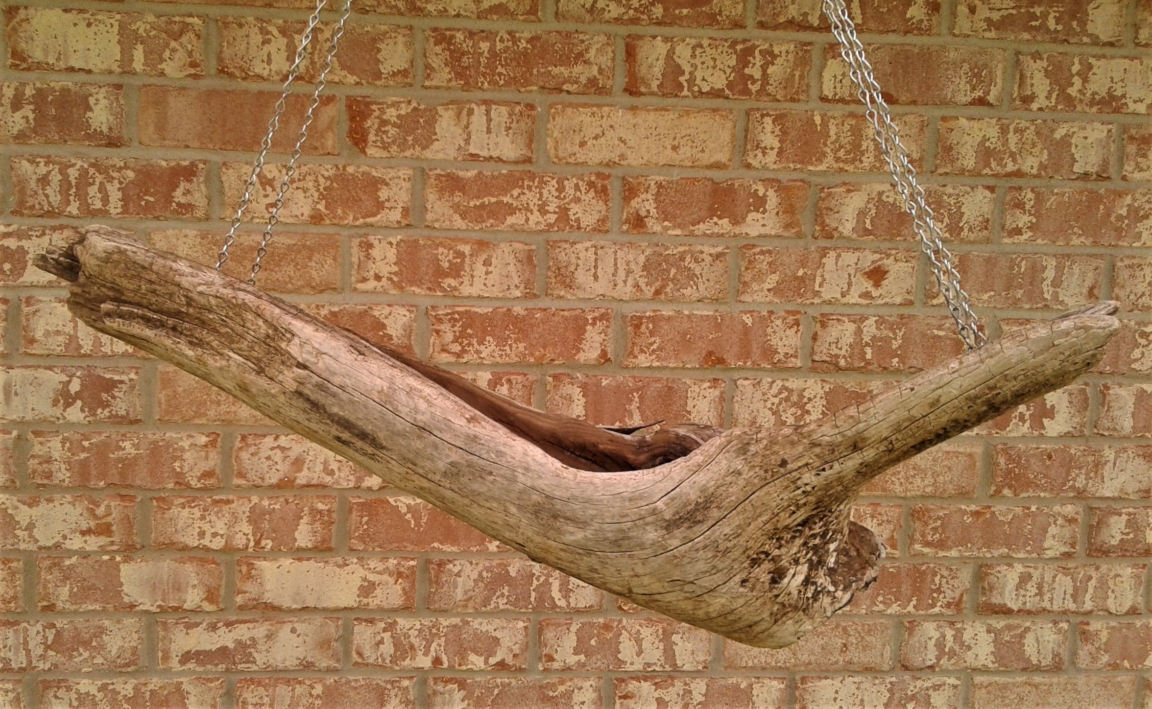 Hanging Driftwood Planter, Great For Succulents And Air Plants