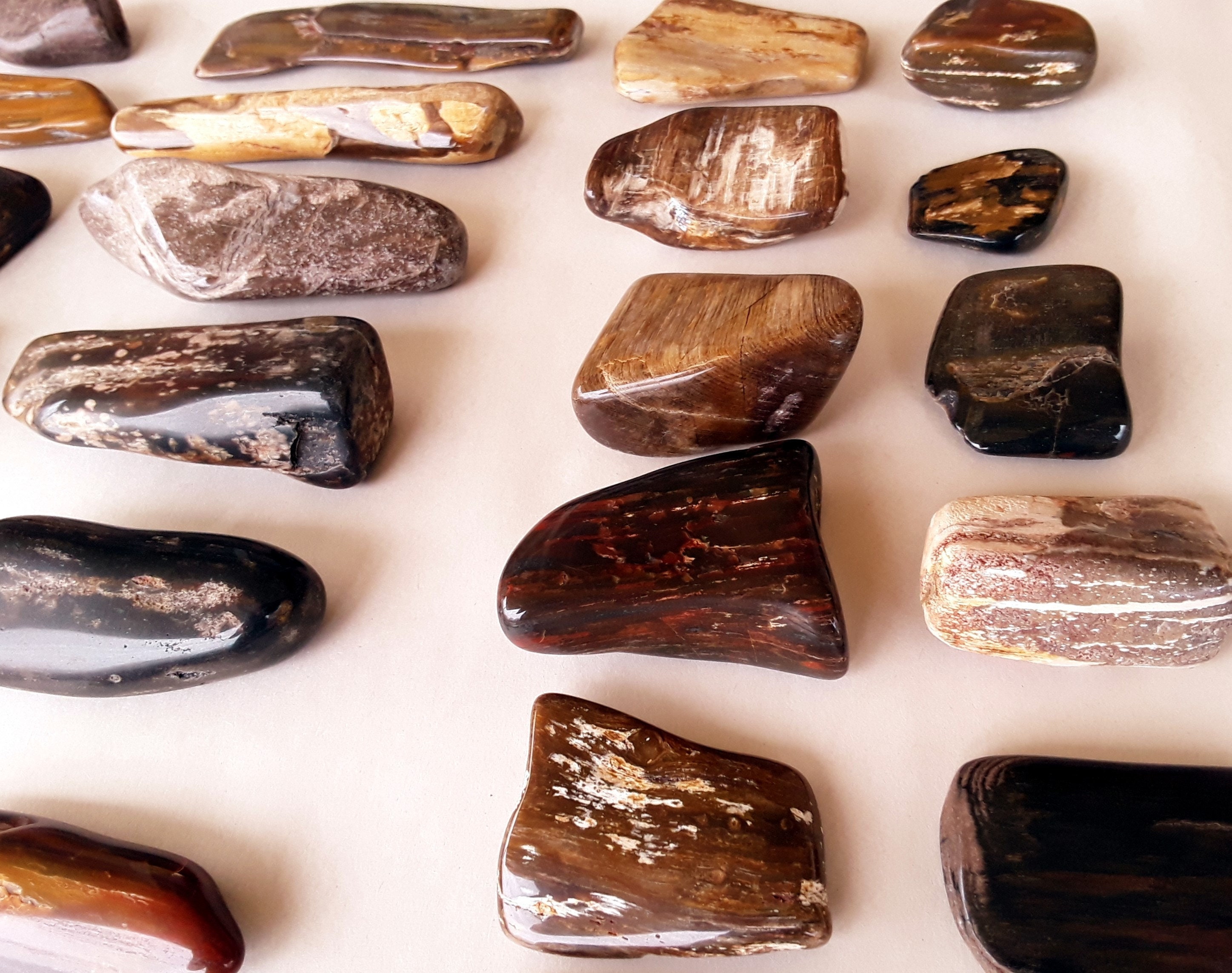 Polished Petrified Wood Three Pounds / 40 Pieces Free US Shipping