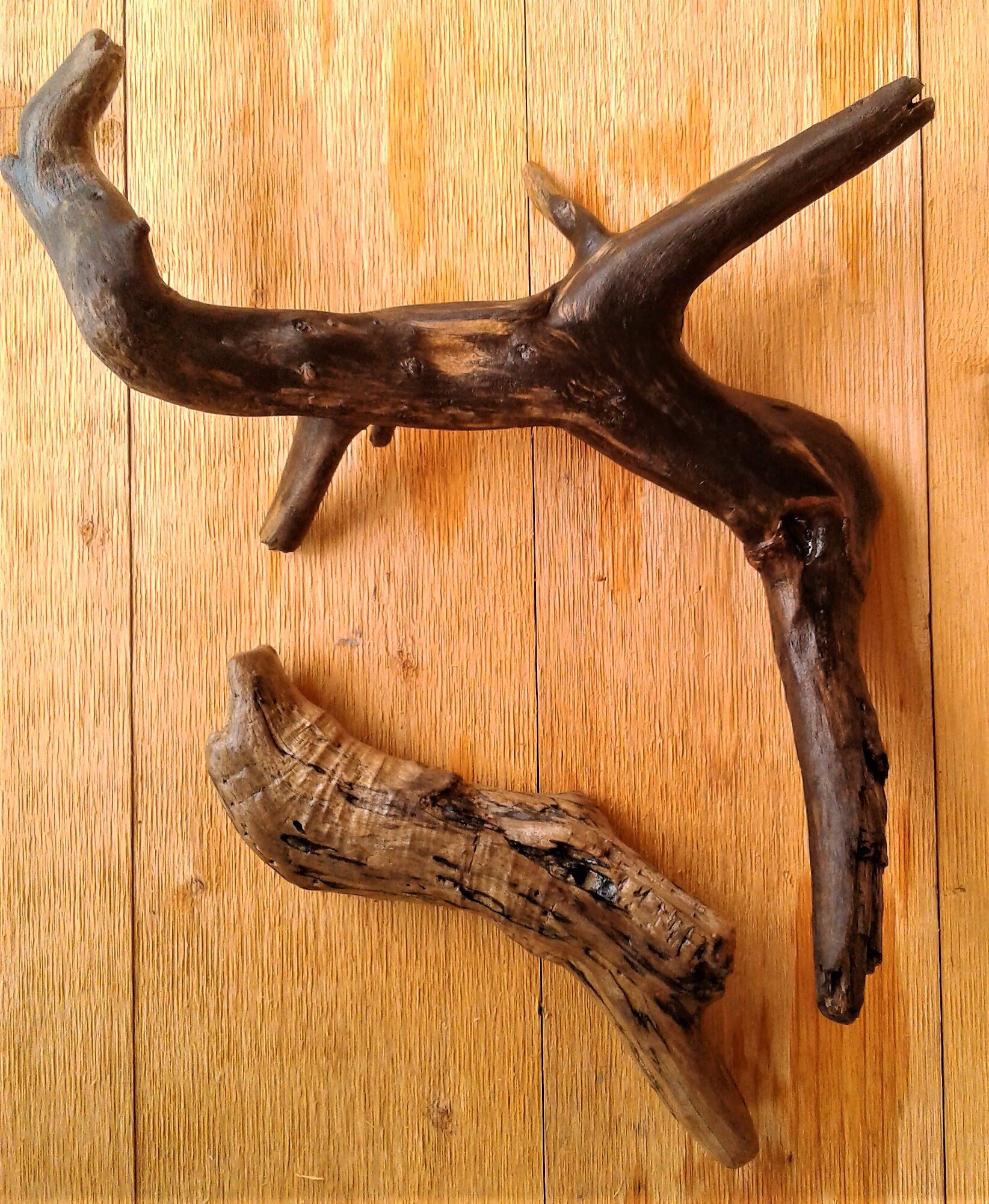 Prepared Aquarium Driftwood