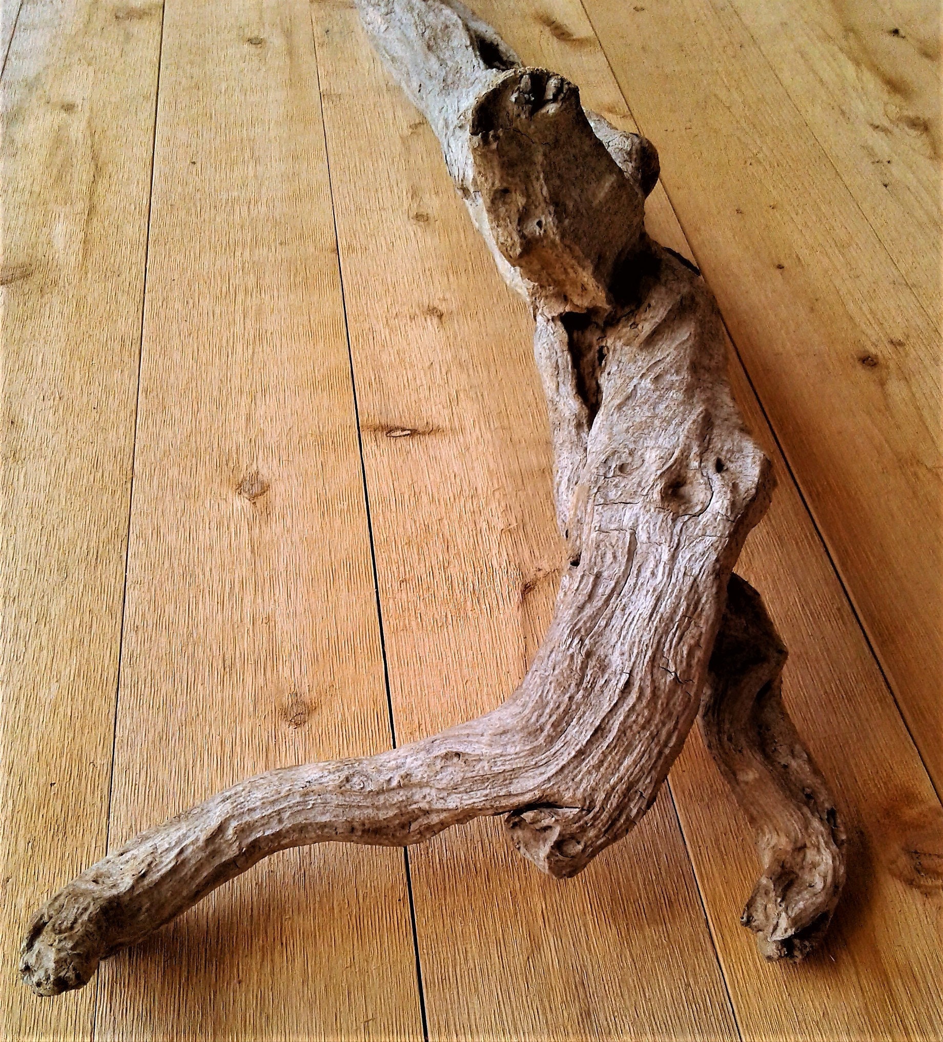 Large Driftwood Sculpture, Planter or Animal Habitat, Over 3 Feet Long