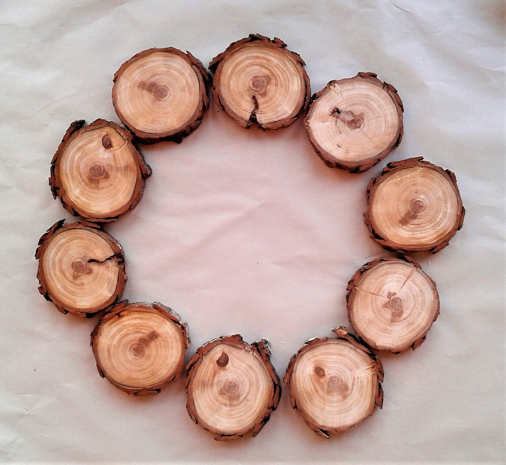 10 Weeping Willow Slices With Bark, 3 Inch Diameter, FREE ...