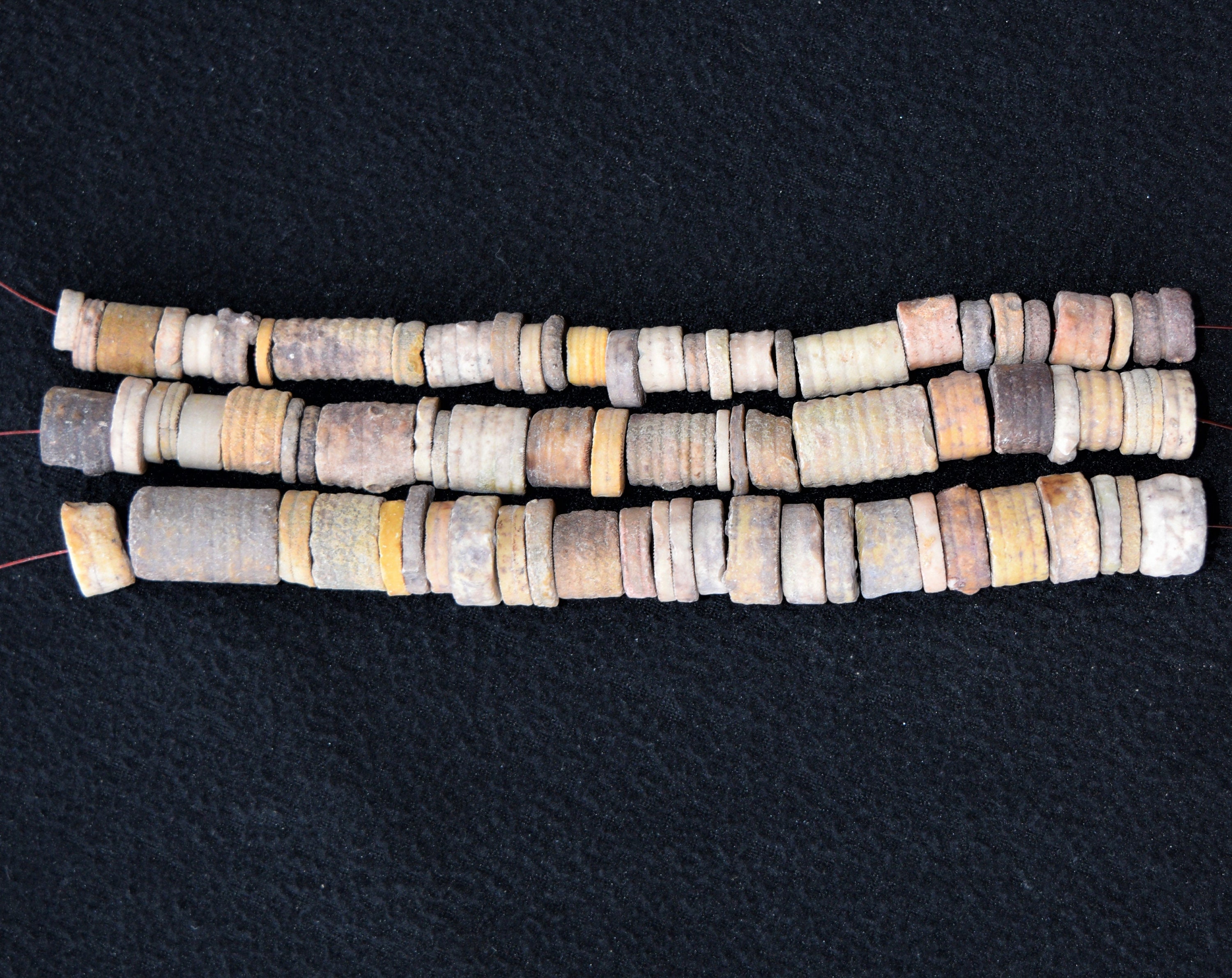 Crinoid Stem Fossil Beads, Natural and Colorful, FREE US SHIPPING