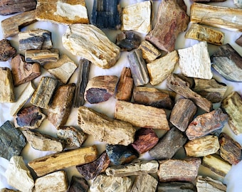 Petrified Wood, 6 Pounds / 40 to 50 Pieces - US Shipping Included