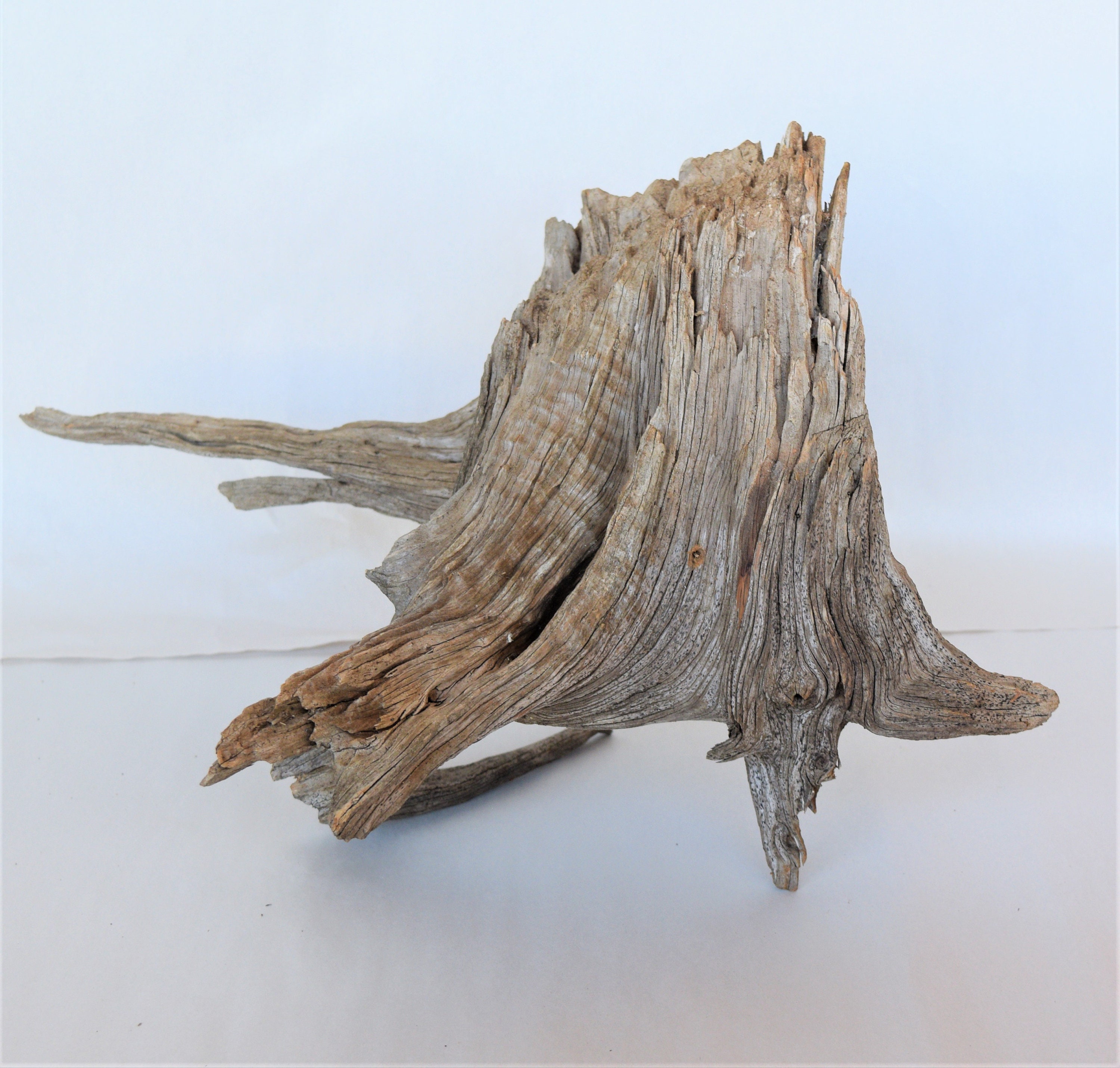 Two LARGE Cedar Stumps, Rustic Garden Decorations or Planters, FREE US Shipping
