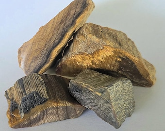 Petrified Snakewood, Very Rare Mennegoxylon Jonesii - Free US Shipping