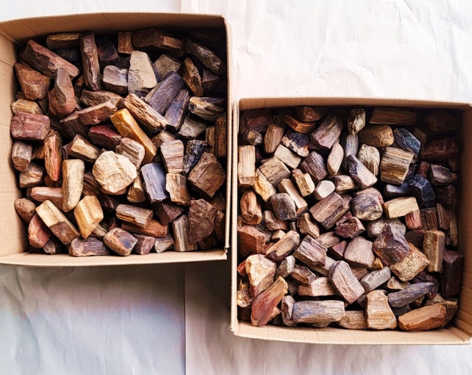 Petrified Wood, 26 or 53 Pounds, 175, 250 or 425 Pieces of Quality Tumbling Rough - US Shipping Included