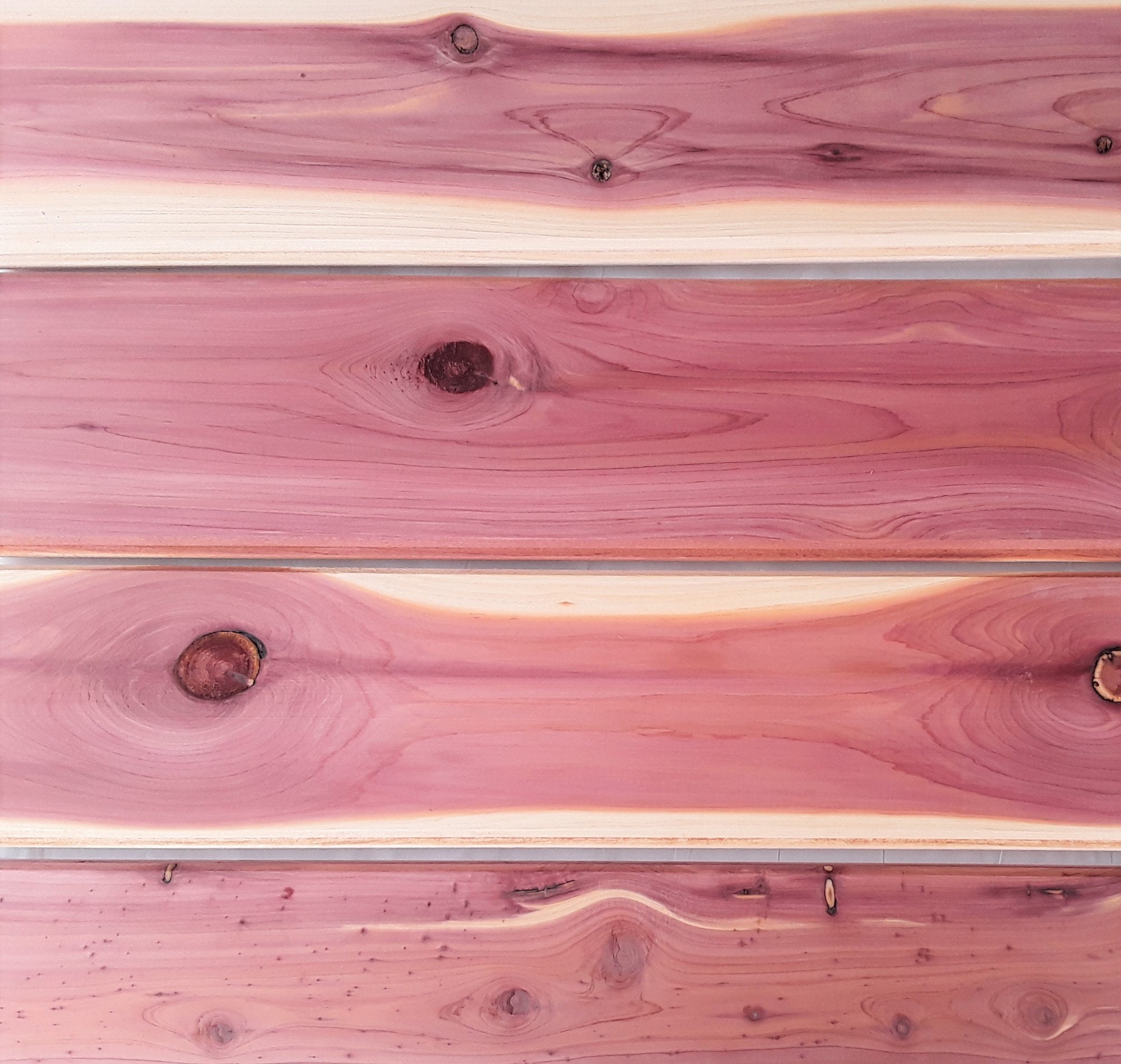 Tongue And Groove Cedar Menardsfav Page - 6oyxgxx