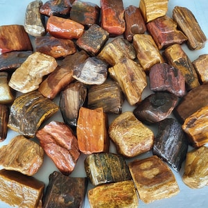 Petrified Wood Tumbling Rough, High Silica Content - US Shipping Included